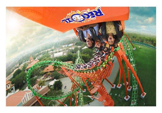 Wonderla Amusement Park